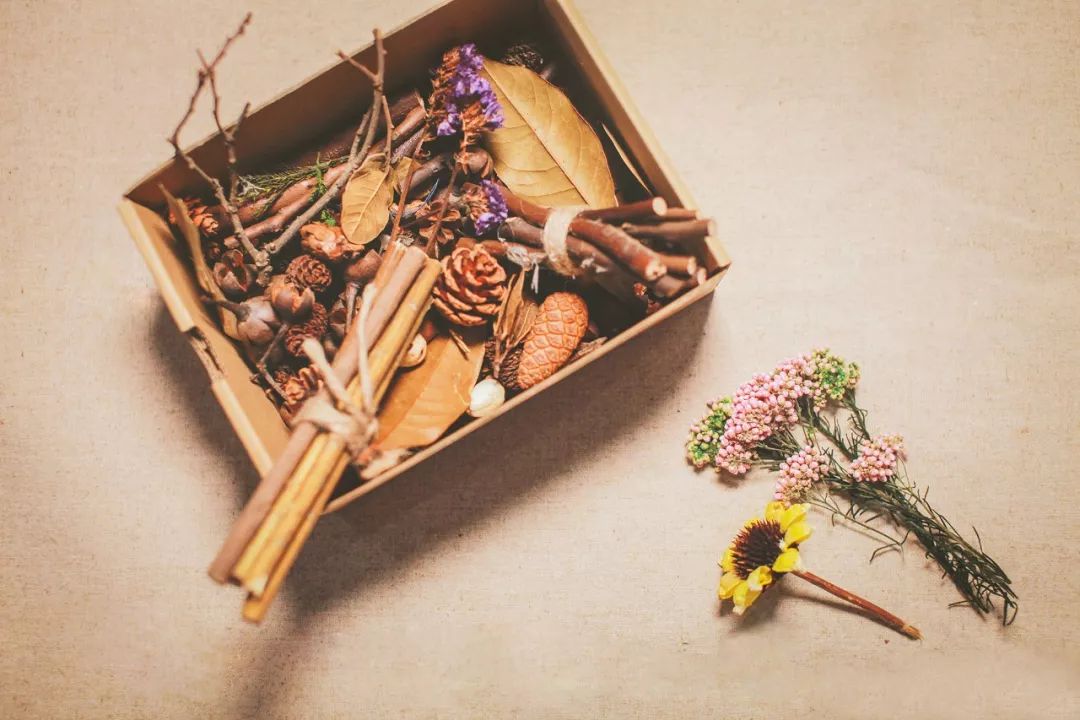 她31岁放弃北漂高薪，回归森林“捡垃圾”，用树叶打造出人间仙境