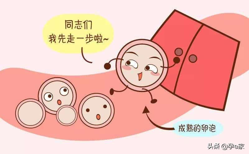 24到30岁生孩子是最佳年龄吗,25岁和35岁生孩子区别