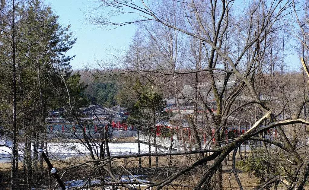 毁坏山林违建,毁林百亩削山挖湖建私人庄园