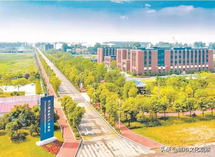 新洲人口2019总人数,新洲阳逻区总人口