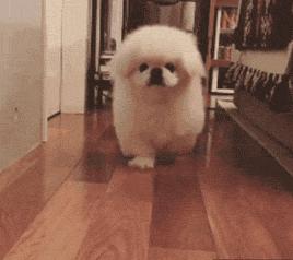 放下了七情六欲戴上金箍才能救你,带上金箍就不能有七情六欲了