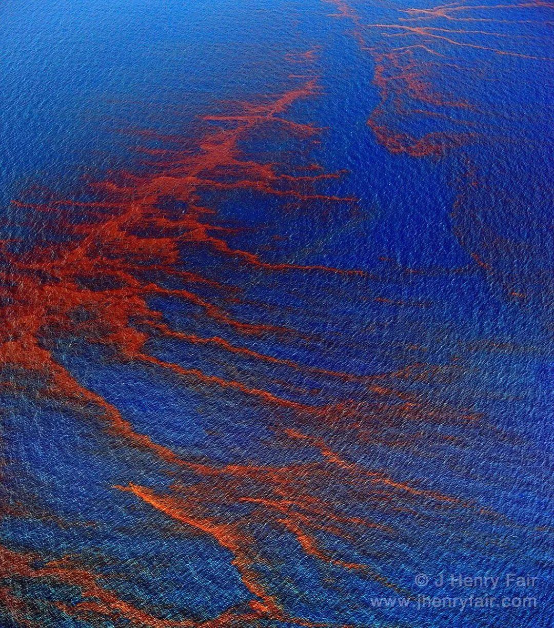 全球变暖导致不利影响照片,全球变暖后的真实视频