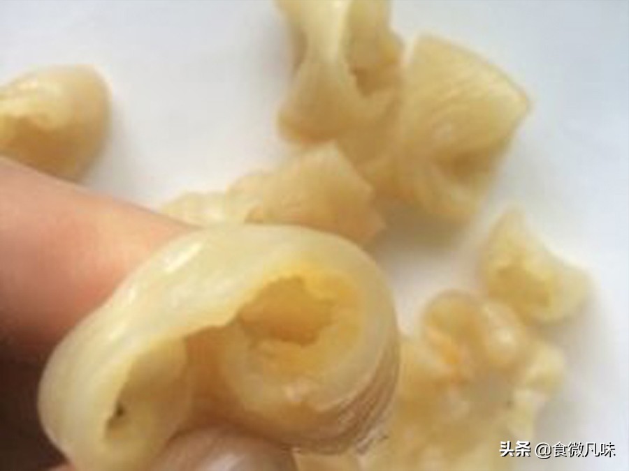 好吃的鱼胶推荐,有什么鱼胶吃起来爽口的