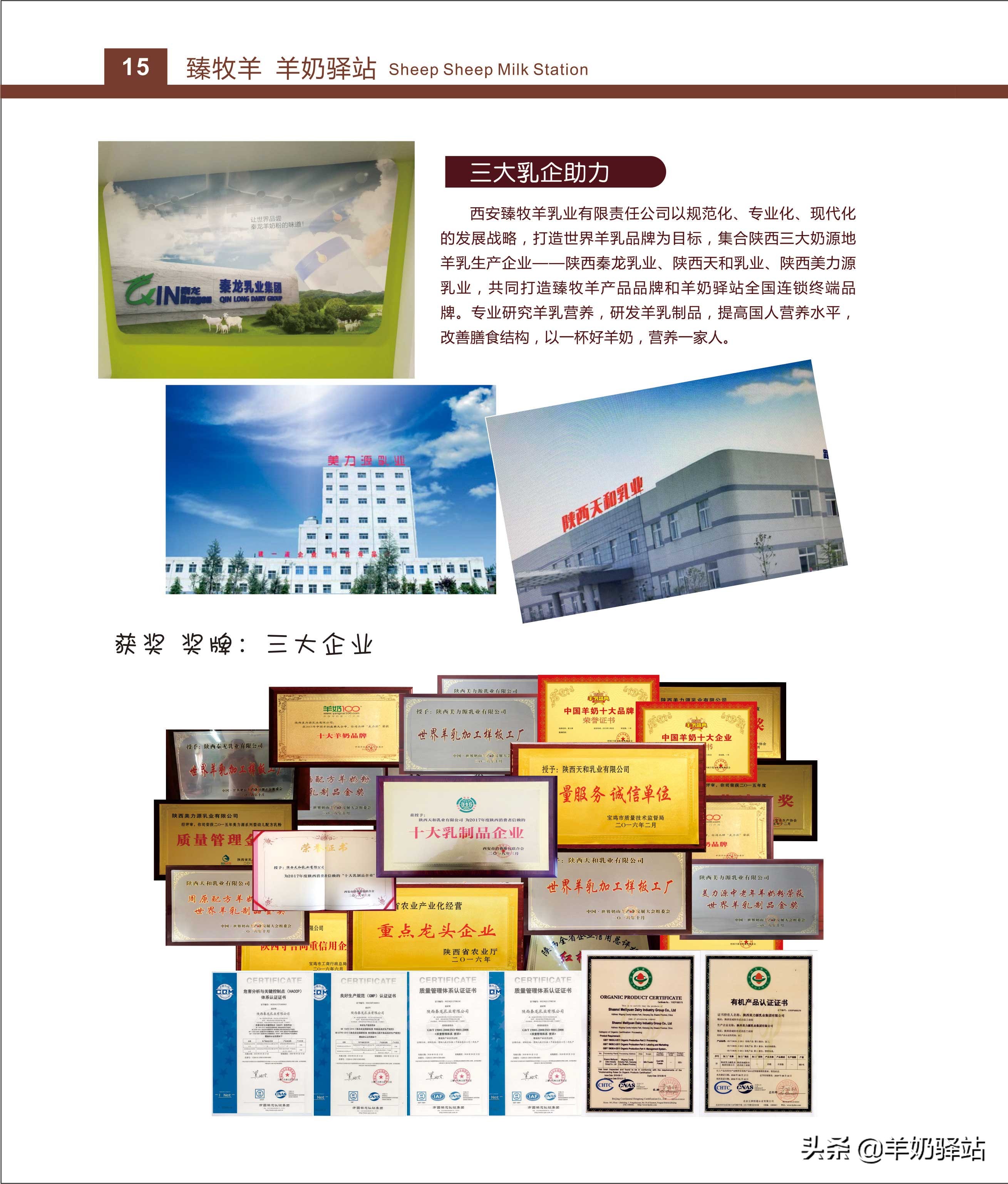 羊奶驿站加盟宣传片,羊奶驿站加盟经营模式