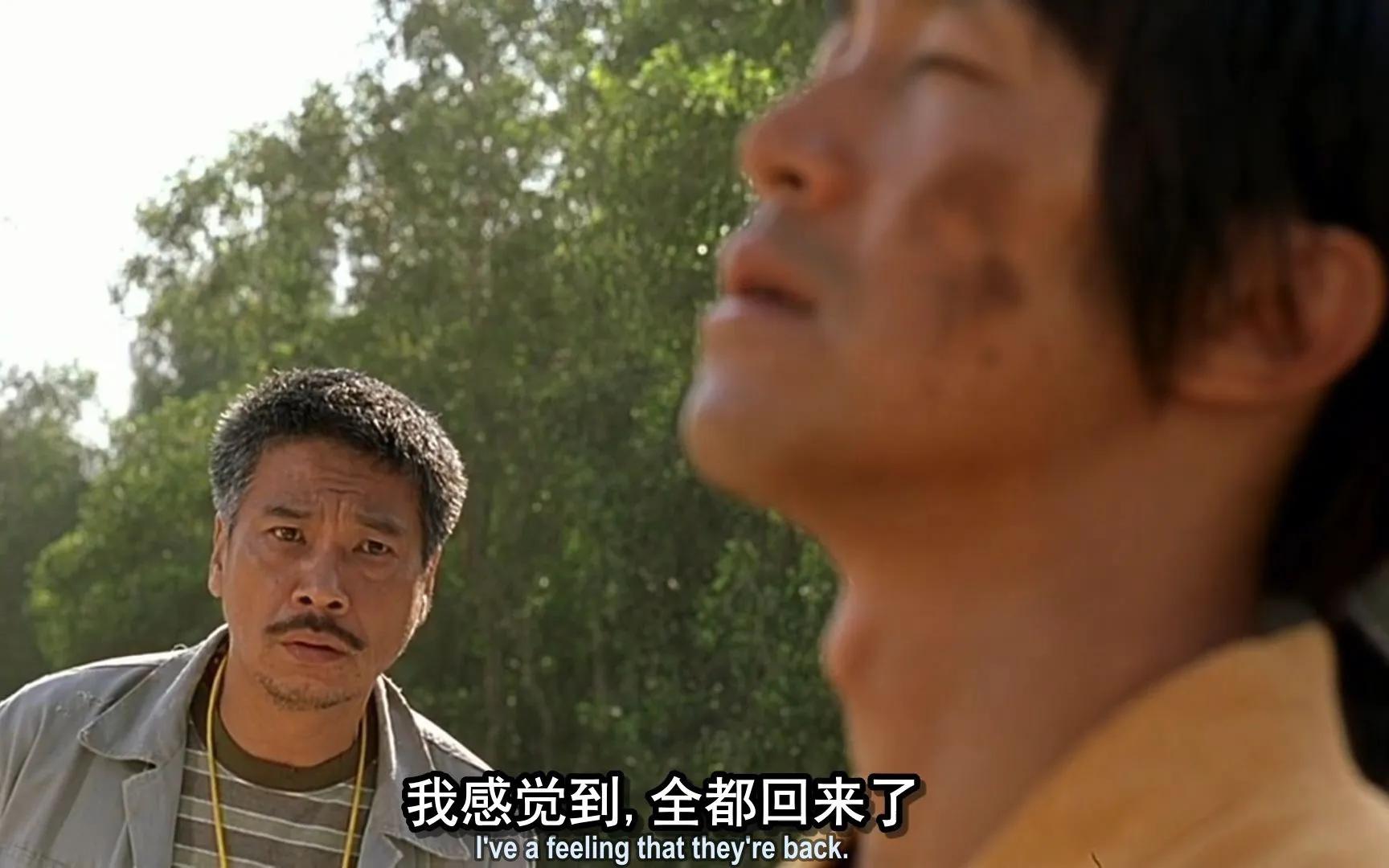 中国女排七仙女首发的比赛,荷兰女排零封中国女排