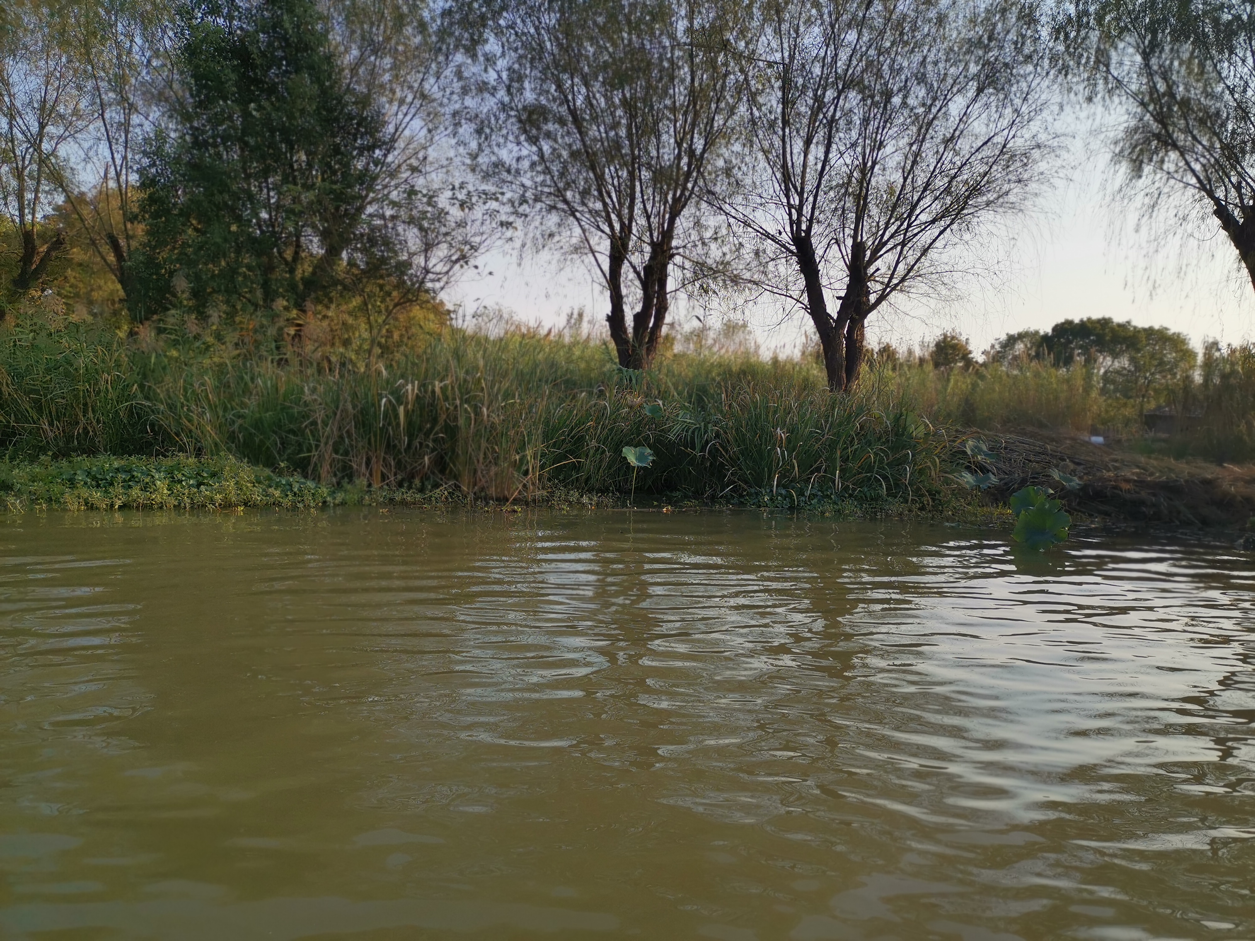 沙家浜故地重游,最经典的沙家浜