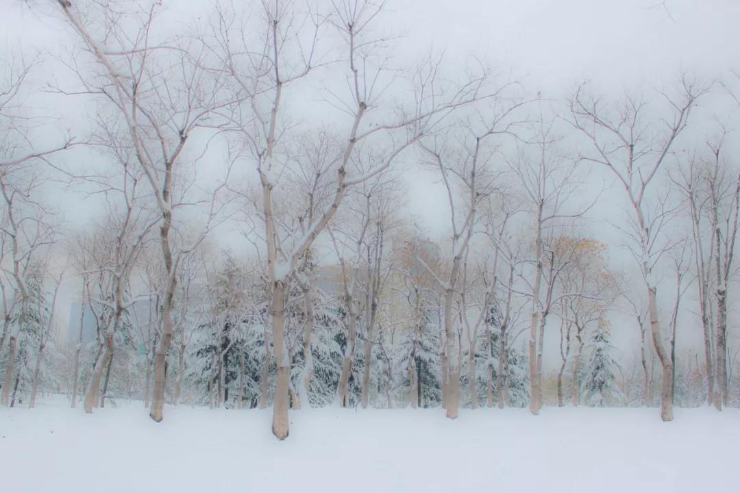 郑州被评为幸福城市有什么看法,2021郑州最具幸福感城市