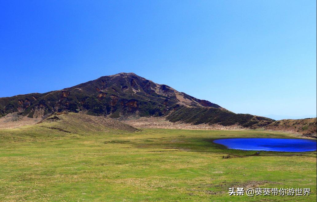 葵葵测评帕拉德,葵葵点评日本别府