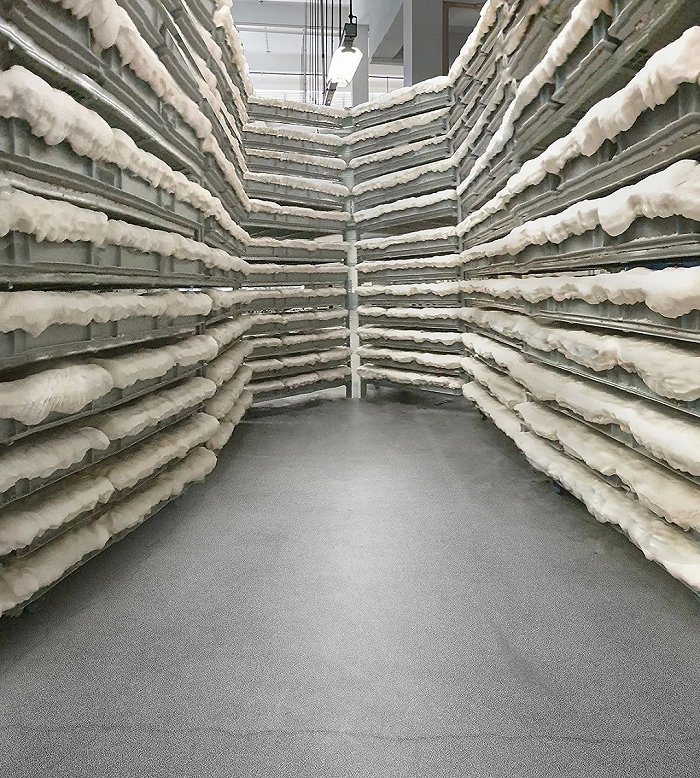 鸵鸟皮跟鳄鱼皮,鳄鱼皮鸵鸟皮