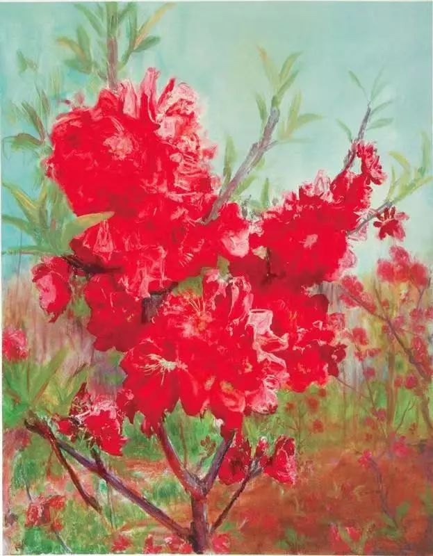 龙泉4大冷门赏桃线路出炉，向东60里遇见一座城市桃花源！