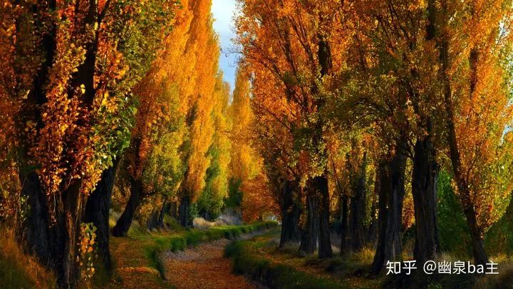 133%高色域和100%高色域,126%srgb色域什么水平