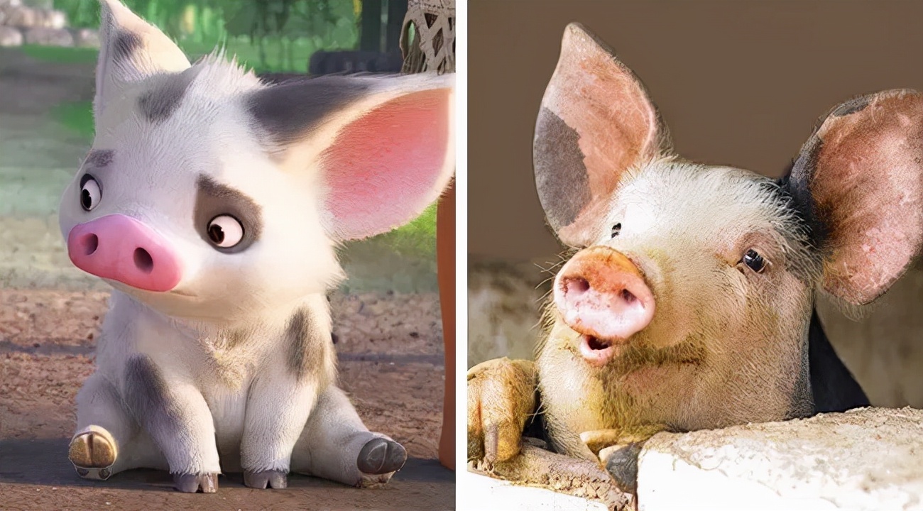 盘点那些经典的可爱卡通动物,盘点那些长得像漫画版形象的动物