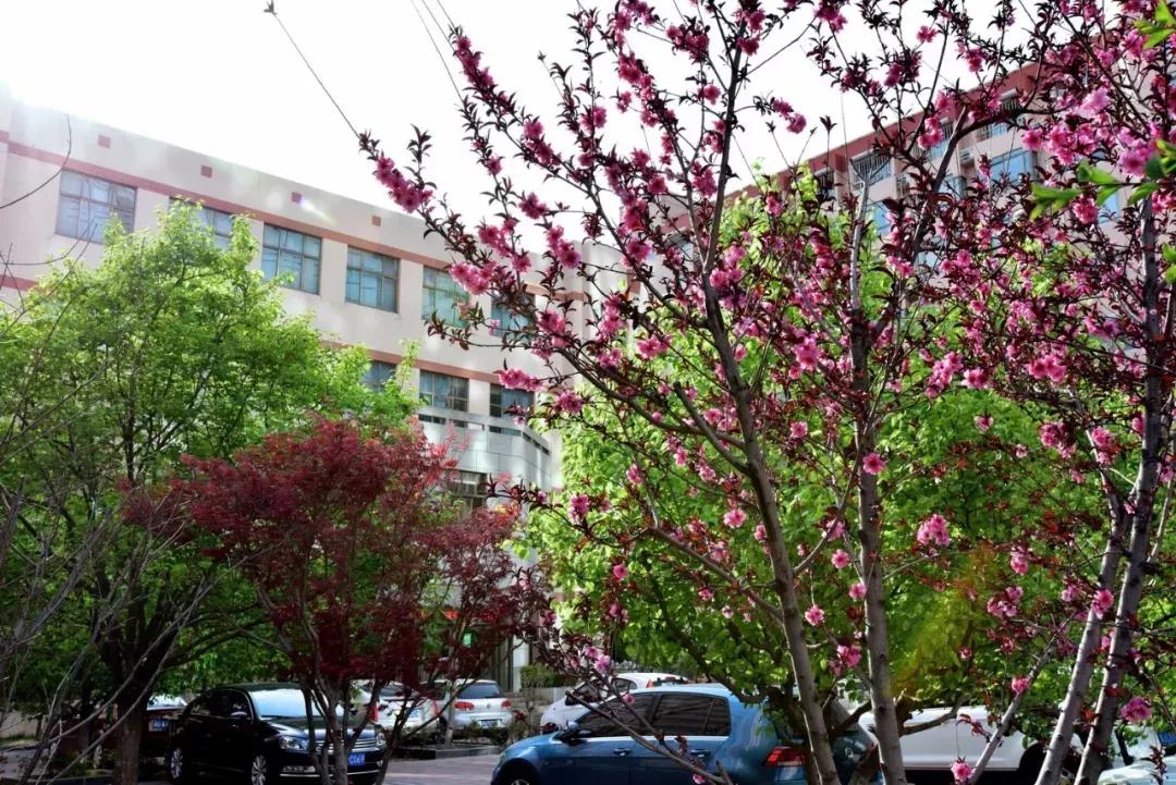 天津市普通高等院校（三）天津师范大学