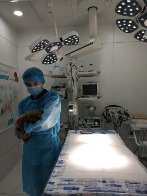 铸就“不平凡”，瑞派宠物医生的“人宠情”