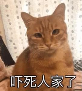 恐惧症的症状有哪些,恐惧症常见的四种症状