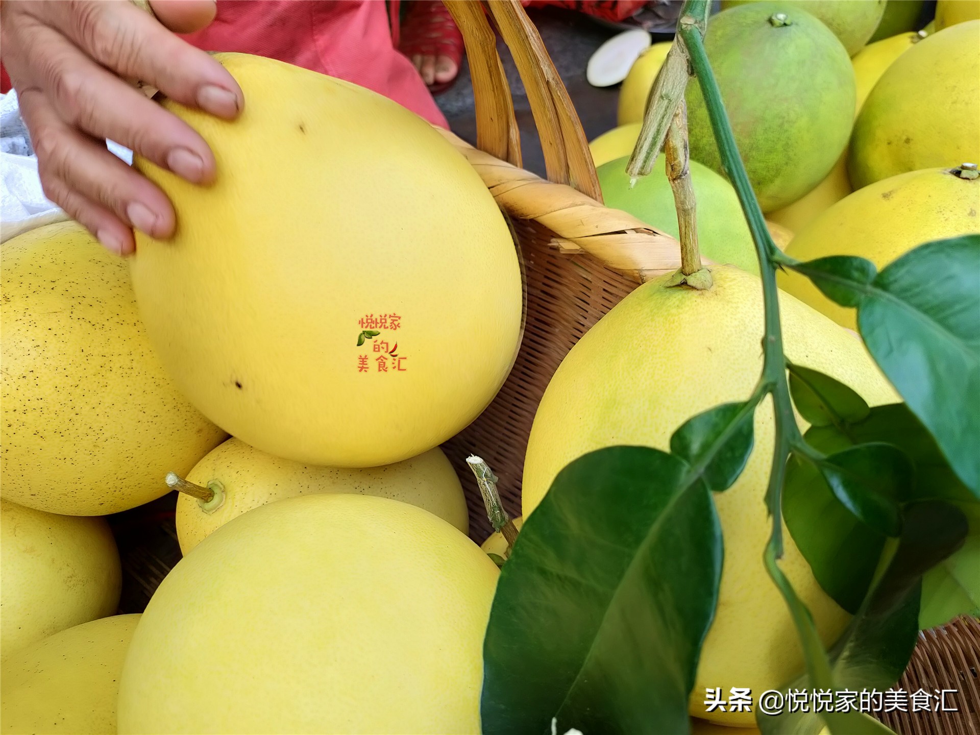 怎样挑柚子最甜,怎样挑柚子好方法图片