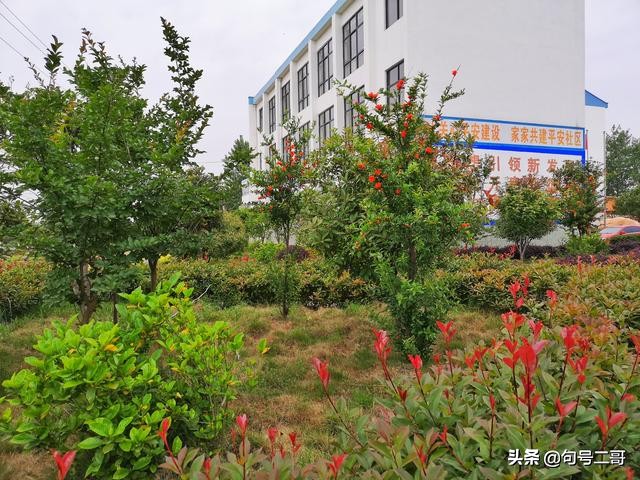 湖北省云梦县美丽乡村行,云梦伍洛美丽乡村