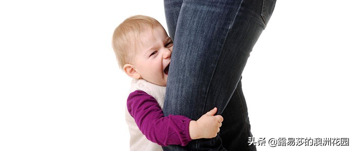 最震撼的分享丨美国哈佛大学：如何帮助患有分离焦虑症的孩子？