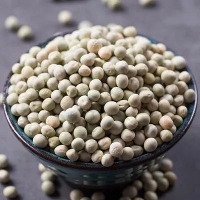 一个花盆里种三颗豆子能活吗,一个花盆种几棵毛豆