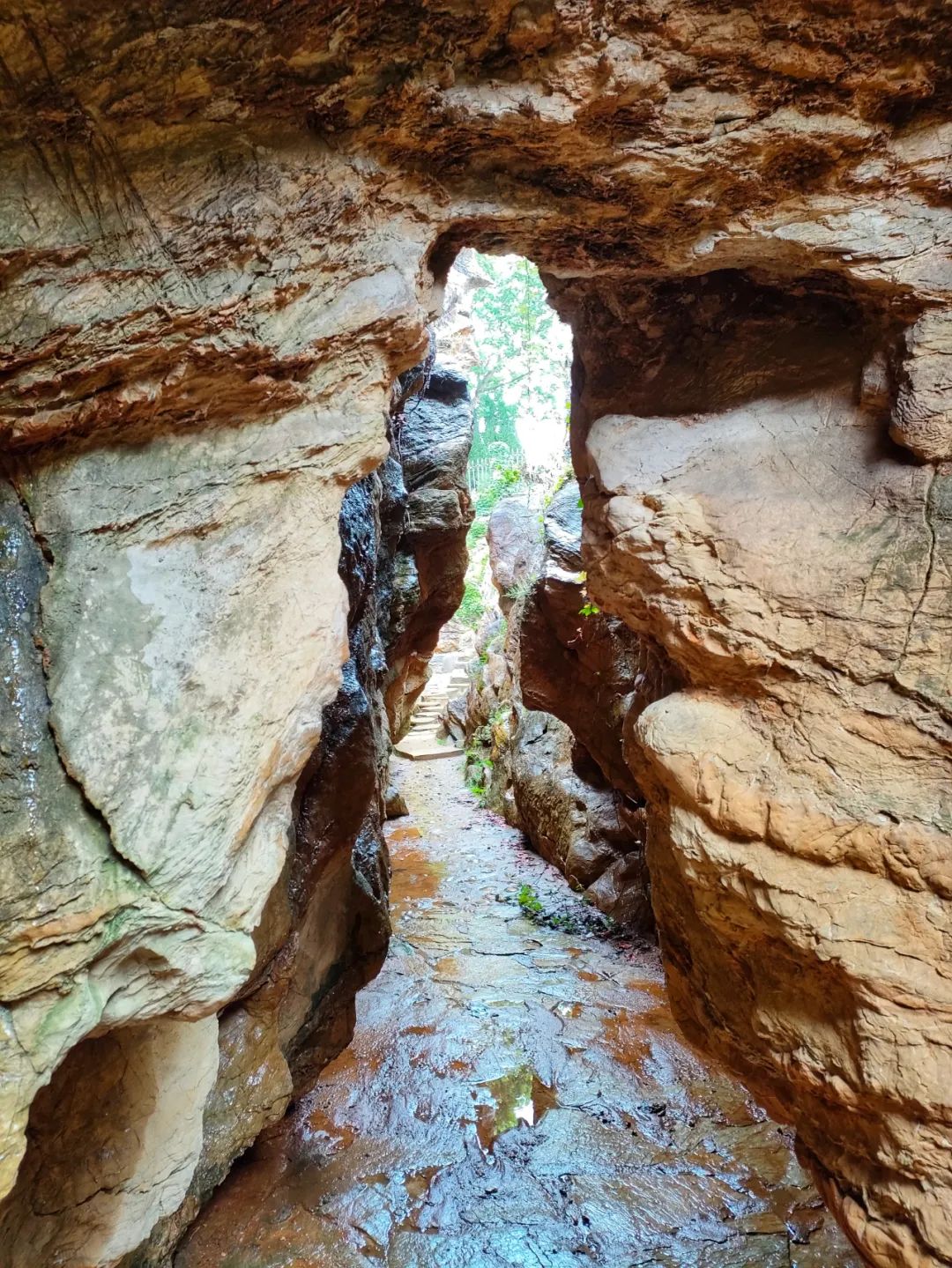 大连金石园奇石名称,大连市金石园