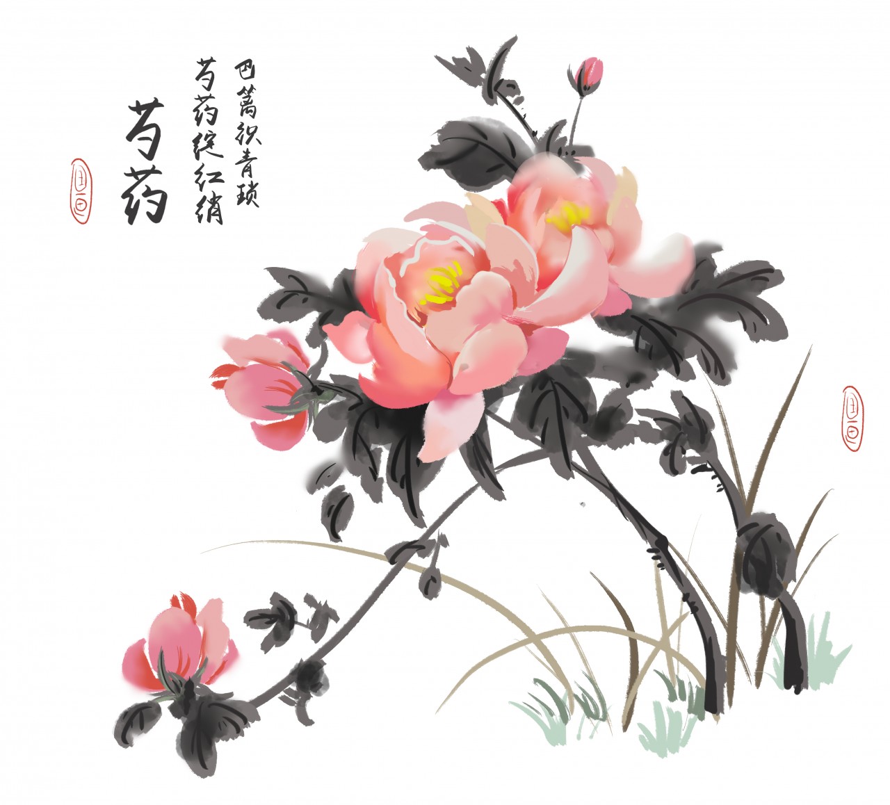 芍药分为白芍和赤芍,芍药清热凉血活血散淤