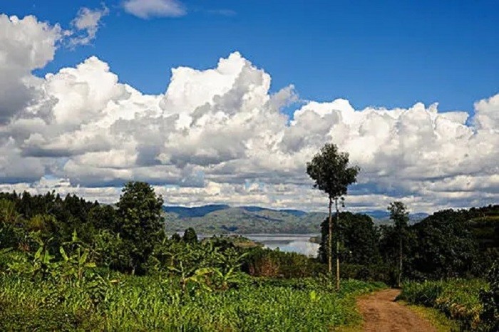 非洲小国卢旺达：与中国密切合作，经济发展快，看不到任何脏乱差