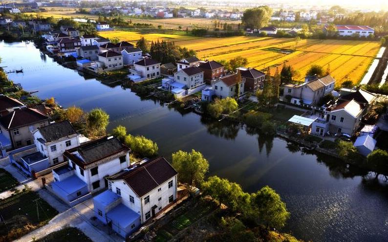 乡村振兴示范村的申报流程,乡村振兴全流程指南
