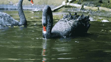 一个安徽爷爷，花1万块种出5000㎡私家花园，被评为中国最美