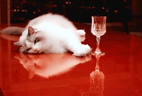 夏洛特烦恼悟出的文案,夏洛特烦恼讲的道理