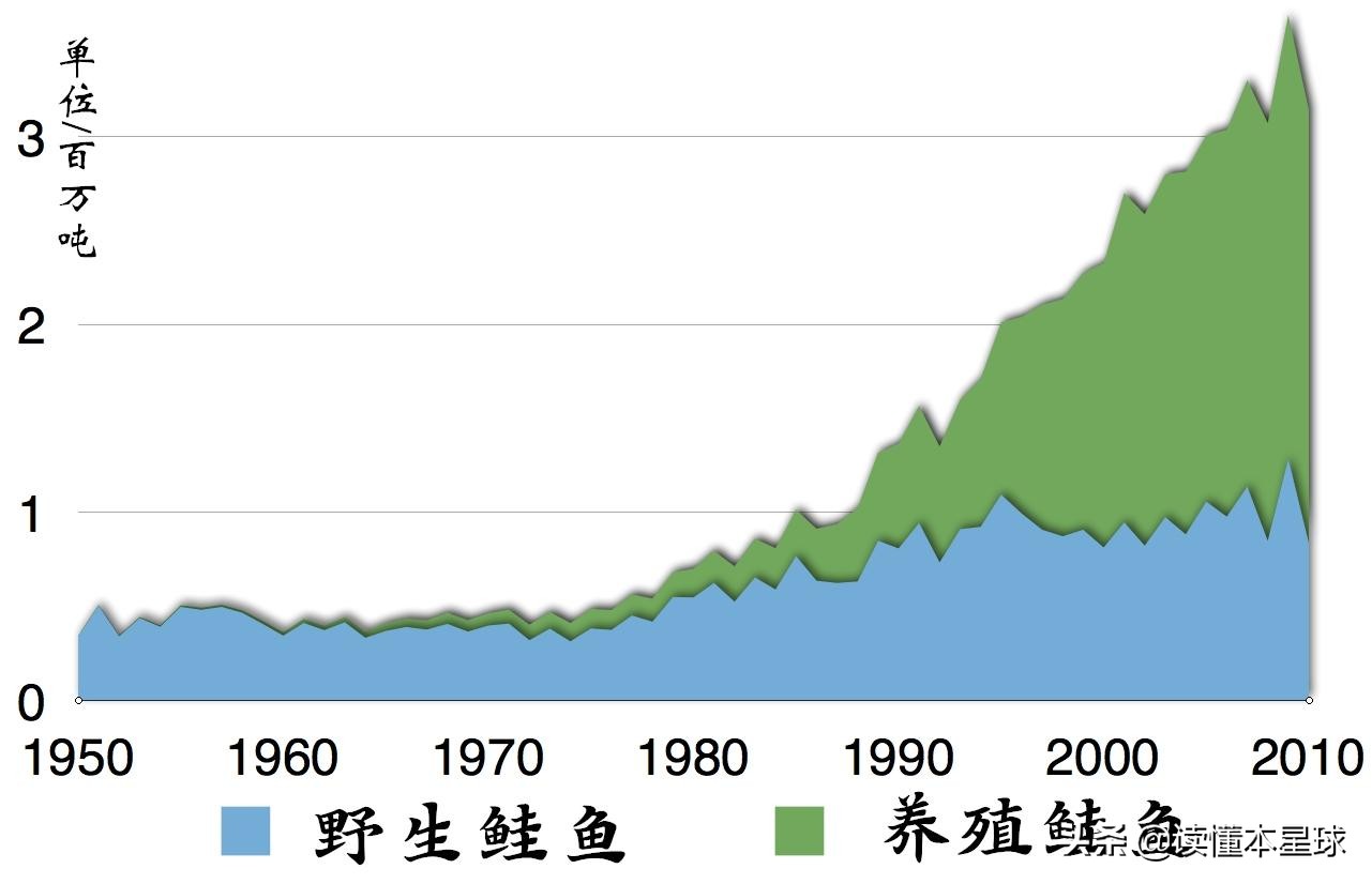 被人类吃到濒临灭绝的生物,被人类吃灭绝的凶猛的鱼
