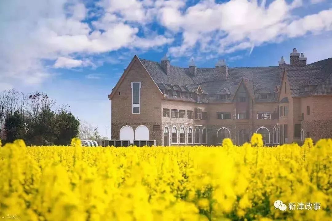 九莲小学办学特色,新津九莲小学