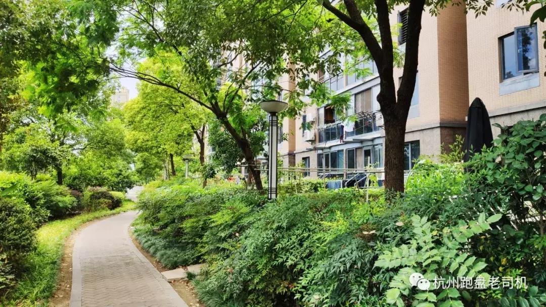 350万安家滨江，有地铁、有学区，这个地方的二手房你不应错过