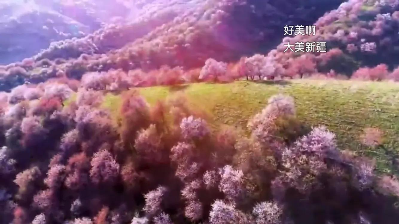 *疆新**是个好地方，荒谬的HM我们不买单！