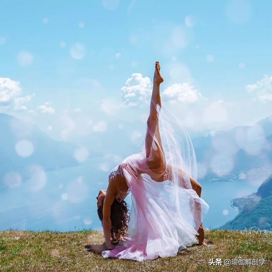 初学者在家就能练的瑜伽经典动作,初学者如何快速get到瑜伽轮式