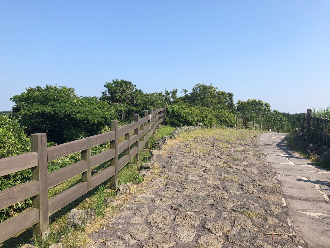 不会韩语去济州岛怎么自由行,济州岛两天旅行攻略