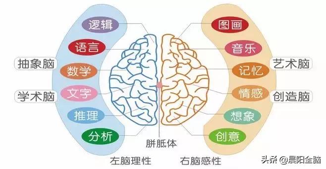 右脑开发的利与弊,用左手开发右脑的好处