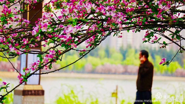 洛阳晚报作品,洛阳晚报2020年