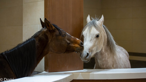 中国马镇冰火节,跨年旅行新体验中国马镇冰火节