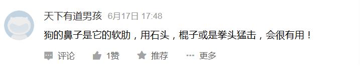 告诉孩子被狗咬怎么自救,如果小孩被狗咬怎么自救