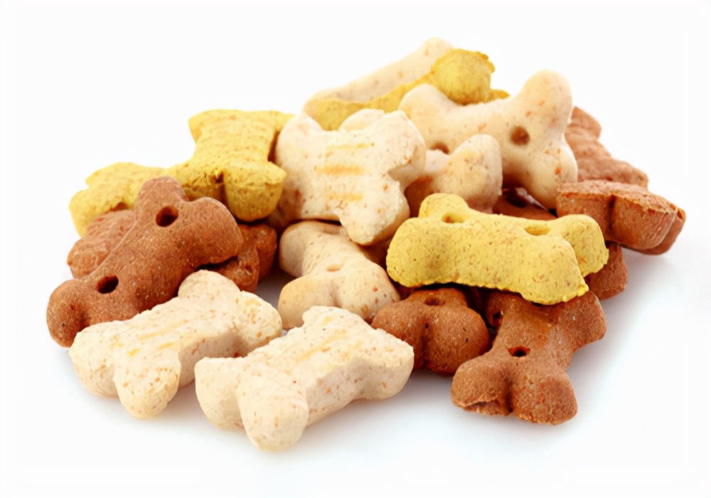 狗狗生理期的症状及治疗,养狗须知狗狗来例假应该注意什么