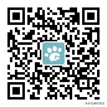 足不出户线上看诊,24小时猫病在线咨询