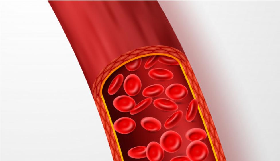 输血为什么要血型一样,为什么输血需要配型