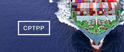 cptpp在越南正式生效 (cptpp成员国越南)