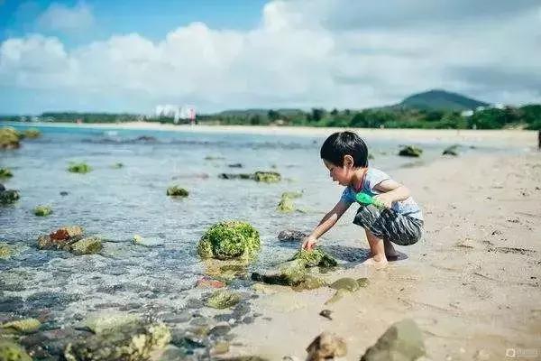 旅游天津周边哪好玩,天津旅游有海的地方