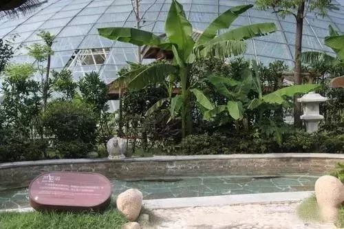 苏州乐园四季恒温水乐园预约,苏州乐园四季悦水游村