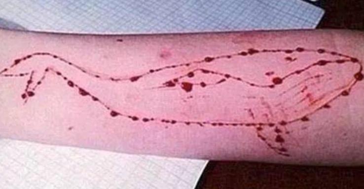 19岁女生在网上连载自己的yp日记：这不是性成瘾，是自残