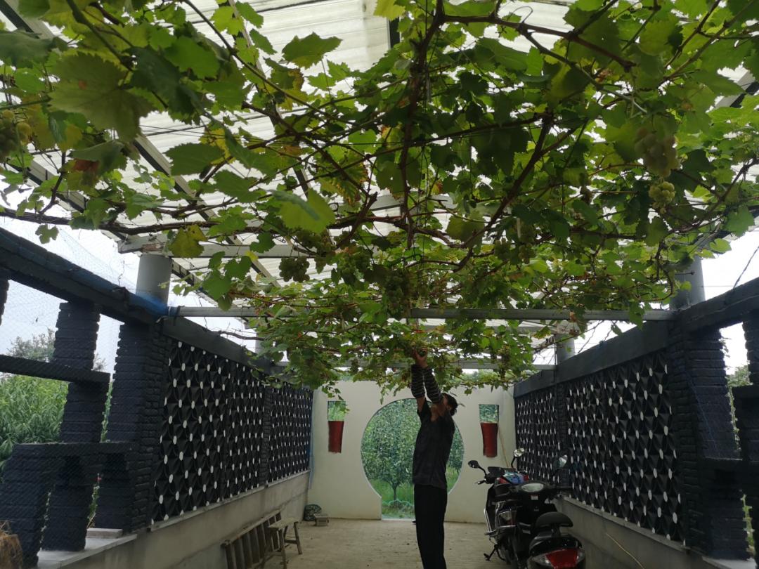 江阴人少景美,江阴有哪些人文景观