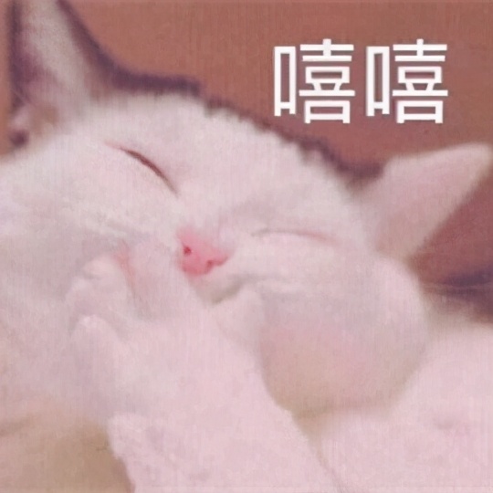 猫不吃罐罐怎么办,英短猫吃零食不吃主食咋办