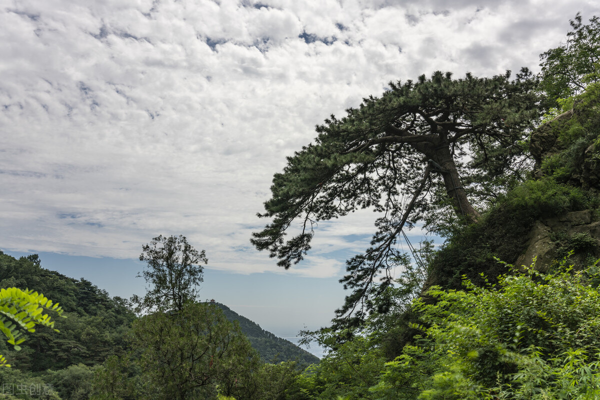 登上泰山极顶看日出,泰山极顶完整版