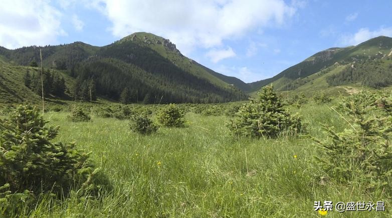 县生态环境保护工作报告,县生态环境保护重点